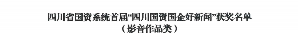 四川省美狮贵宾会集团荣获首届“四川国资国企好新闻”银铜两奖