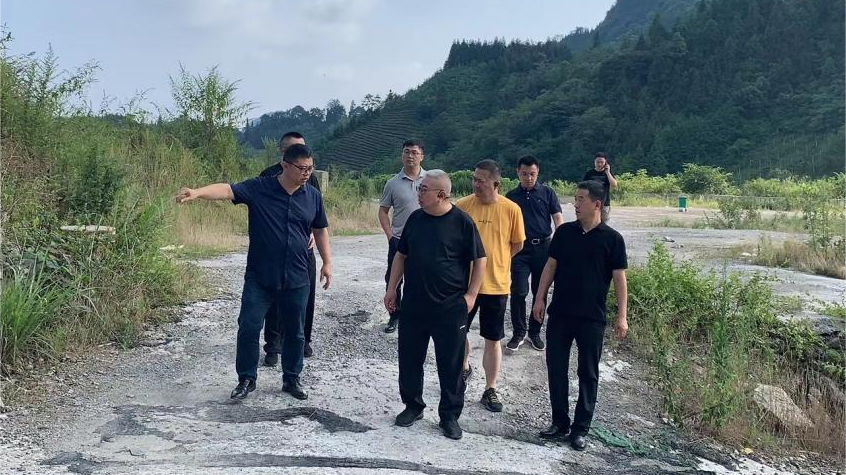 省美狮贵宾会集团领导调研峨眉山太阳村乡村振兴项目